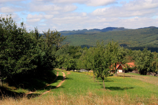 Stříbrnické paseky