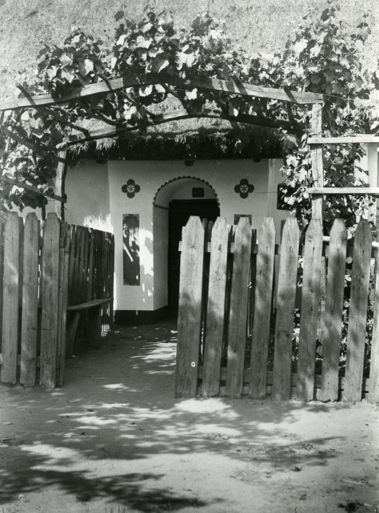 Loubím krytý a révou vinnou porostlý dolník u domu čp. 98 ve Tvrdonicích