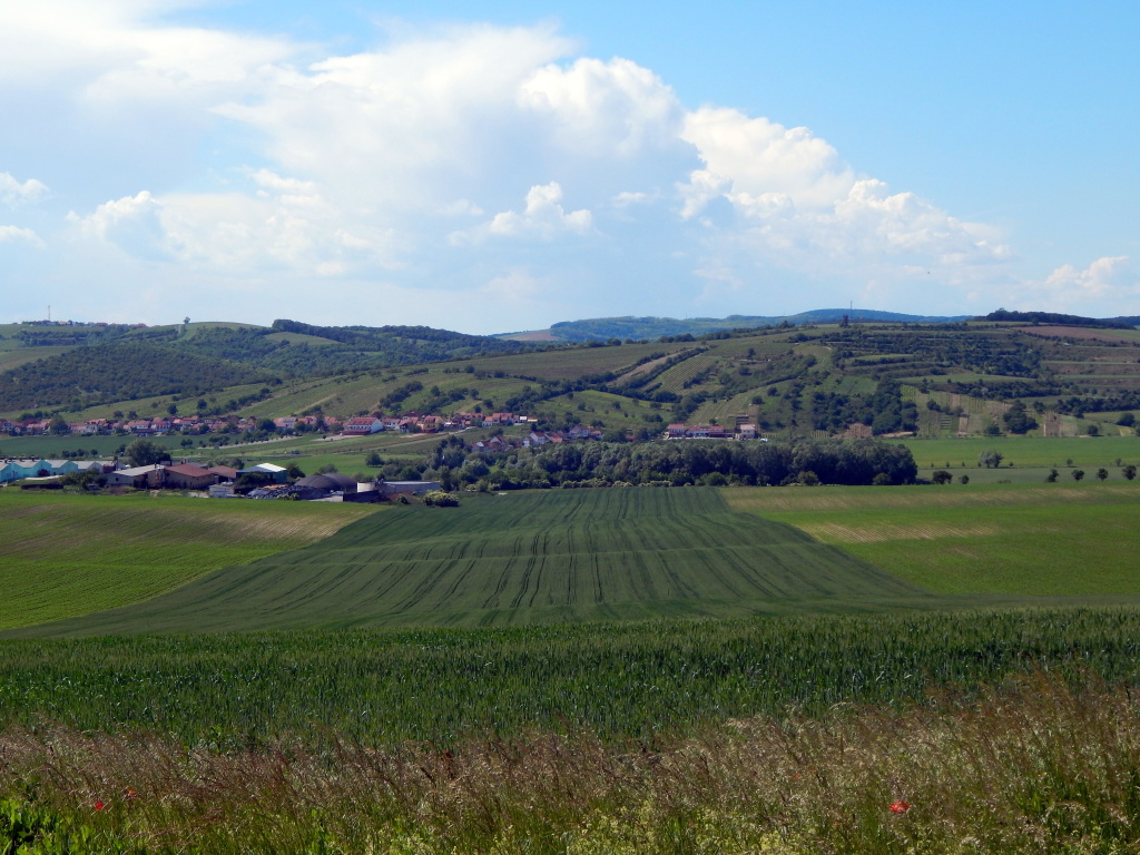 Údolí Trkmanky u Bořetic
