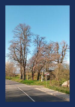 Malovaný kraj 2025/3