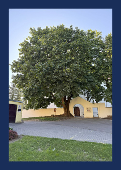 Malovaný kraj 2025/5