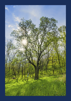 Malovaný kraj 2026/2