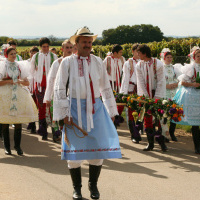 Milan Hlôška - Prušánky, vinobranie. sprievod chasy s horou do Nechor.